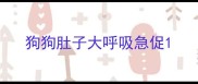 狗狗肚子大呼吸急促
