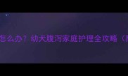 1个月大幼犬腹泻怎么办幼犬腹泻家庭护理全攻略附紧急处理指南