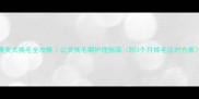 博美犬换毛全攻略公犬换毛期护理指南附3个月掉毛应对方案