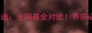 灰白花泰迪VS灰泰迪全网最全对比养前必看的优缺点清单