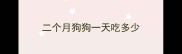 二个月狗狗一天吃多少