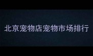 北京宠物店宠物市场排行