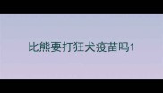 比熊要打狂犬疫苗吗