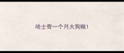 哈士奇一个月大狗粮