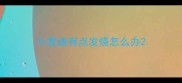 小泰迪有点发烧怎么办