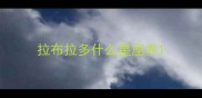 拉布拉多什么星座养