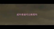 成年泰迪可以断尾吗