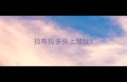 拉布拉多头上皱纹