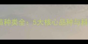 宠物八联疫苗种类全5大核心品种与科学接种指南