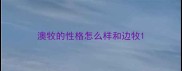 澳牧的性格怎么样和边牧