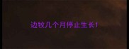 边牧几个月停止生长