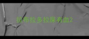 拉布拉多拉屎有血