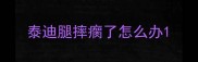 泰迪腿摔瘸了怎么办
