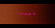 拉布拉多食欲下降