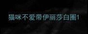 猫咪不爱带伊丽莎白圈