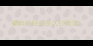 猫体外驱虫多久打疫苗