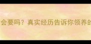 送狗给宠物店会要吗真实经历告诉你领养的正确姿势