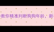狗狗几个月大3步教你精准判断狗狗年龄新手必看养宠指南