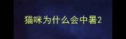 猫咪为什么会中暑