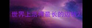 世界上活得最长的边牧