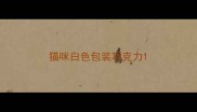 猫咪白色包装巧克力