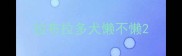 拉布拉多犬懒不懒