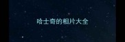 哈士奇的相片大全