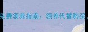 湖南地区宠物猫免费领养指南领养代替购买共建爱心家园