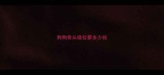 狗狗骨头错位要多少钱