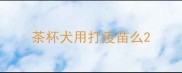 茶杯犬用打疫苗么