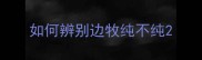 如何辨别边牧纯不纯