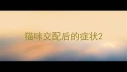 猫咪交配后的症状