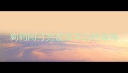 狗狗刚打完疫苗可以吃饭吗
