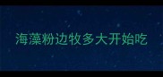 海藻粉边牧多大开始吃