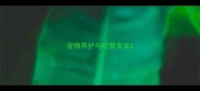 宠物养护与经营专业