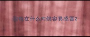 边牧在什么时候容易感冒