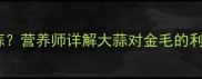 金毛犬能不能吃大蒜营养师详解大蒜对金毛的利弊及安全食用指南