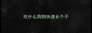吃什么狗狗快速长个子