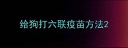 给狗打六联疫苗方法