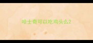 哈士奇可以吃鸡头么
