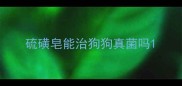 硫磺皂能治狗狗真菌吗