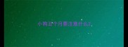 小狗五个月要注意什么