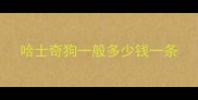 哈士奇狗一般多少钱一条
