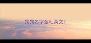狗狗名字金毛英文