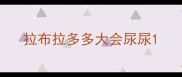 拉布拉多多大会尿尿