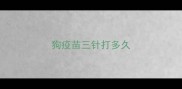 狗疫苗三针打多久