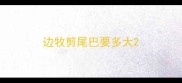 边牧剪尾巴要多大