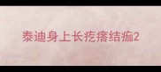 泰迪身上长疙瘩结痂