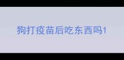 狗打疫苗后吃东西吗