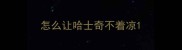 怎么让哈士奇不着凉